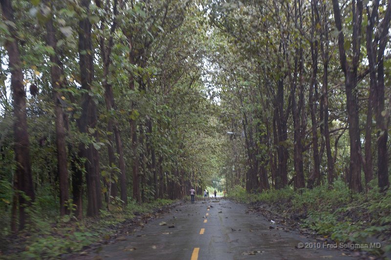 20101203_105138 D3.jpg - Chagres National Park, Panama